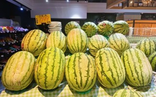 长沙西瓜价格“大跳水”“吃瓜自由”提前到位